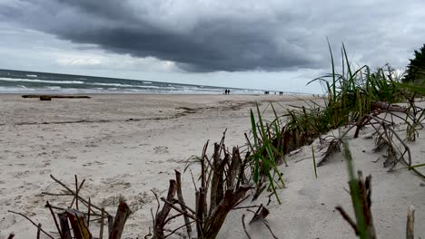 Strandhafer-Und-Wald-Auf-Dem-Sand-Mit-Menschen,-Die-An-Einem-Bewölkten-Tag-Am-Strand-Im-Hintergrund-Spazieren-Gehen