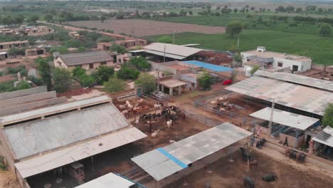 Vista-Aérea-Sobre-Edificios-Agrícolas-Para-Vacas-En-La-Zona-Rural-De-Sindh,-Pakistán-1