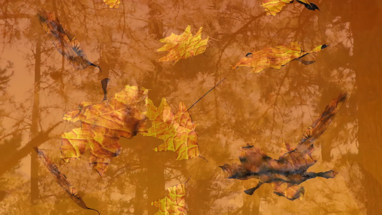 Animation of autumn leaves falling from tree branches in school setting