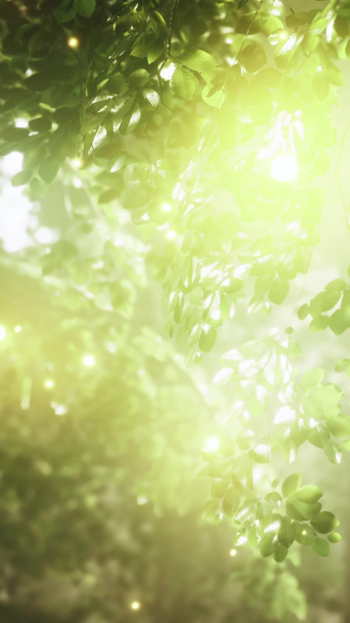 Luz solar penetrando através de folhas verdes em uma floresta ao meio-dia.