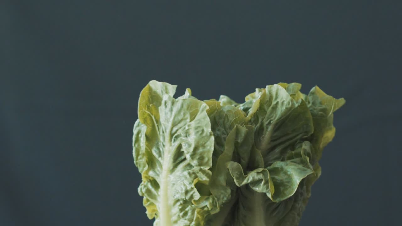 lechuga fresca chocando juntos salpicando agua