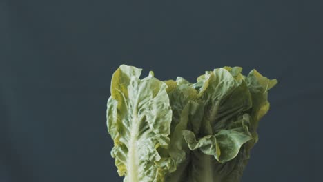 fresh lettuce crashing together splashing water