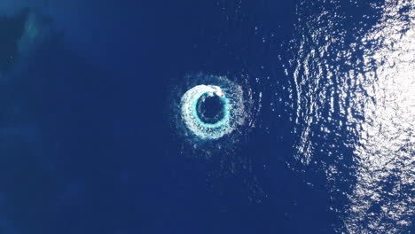 top down aerial view of motor boat circling in blue sea water on sunny summer day, slow motion