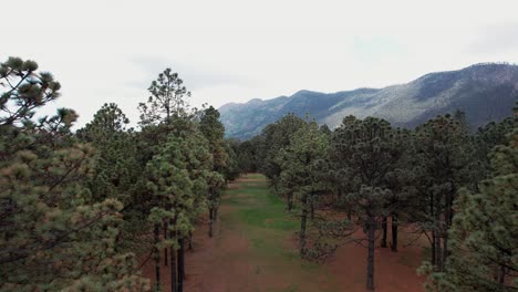 drone avanzando sobre un hermoso bosque con montañas en el fondo