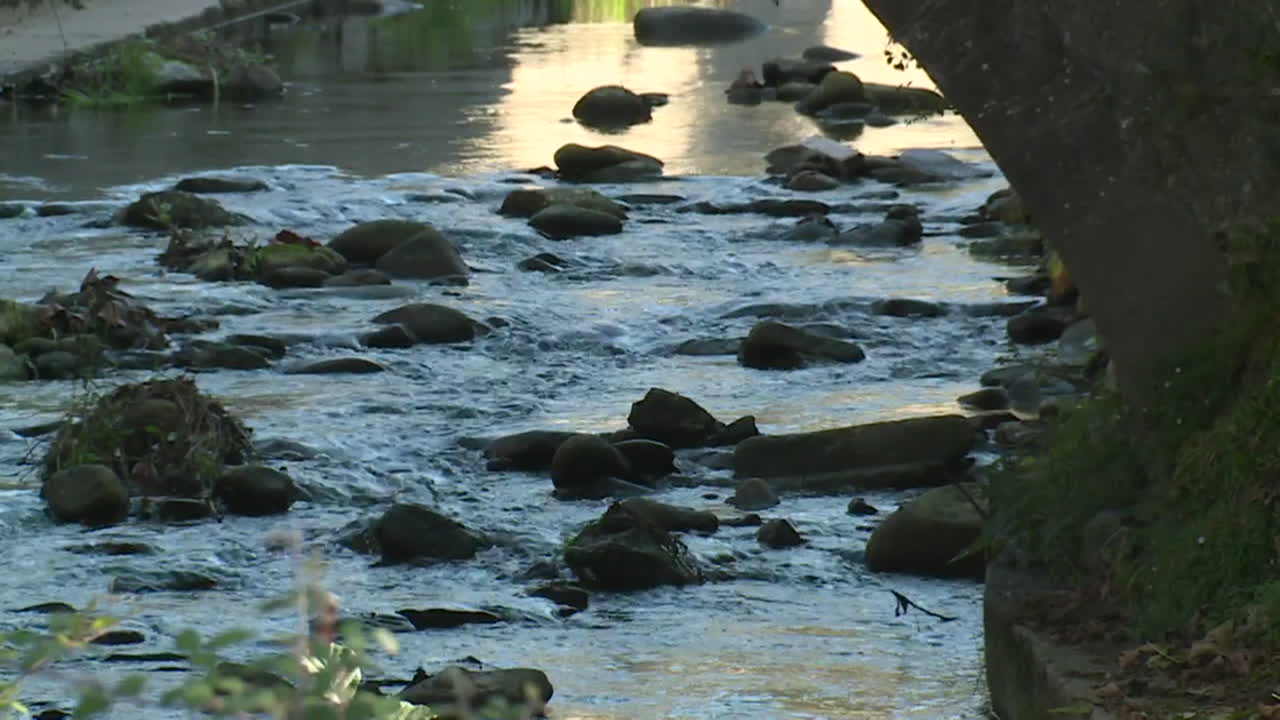 Fast-flowing river with rocks under a bridge