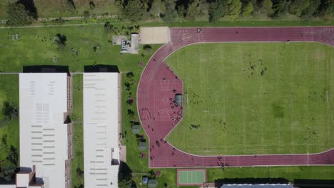 top-down aerial view of players training on a sunlit green soccer field