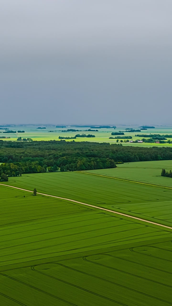 Aerial vertical timelapse above vast green crop fields with tractor tracks and dirt road bordered by dense forest under moody overcast sky in rural Latvia countryside