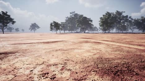 Paisaje-De-Sabana-Africana-Con-árboles-De-Acacia