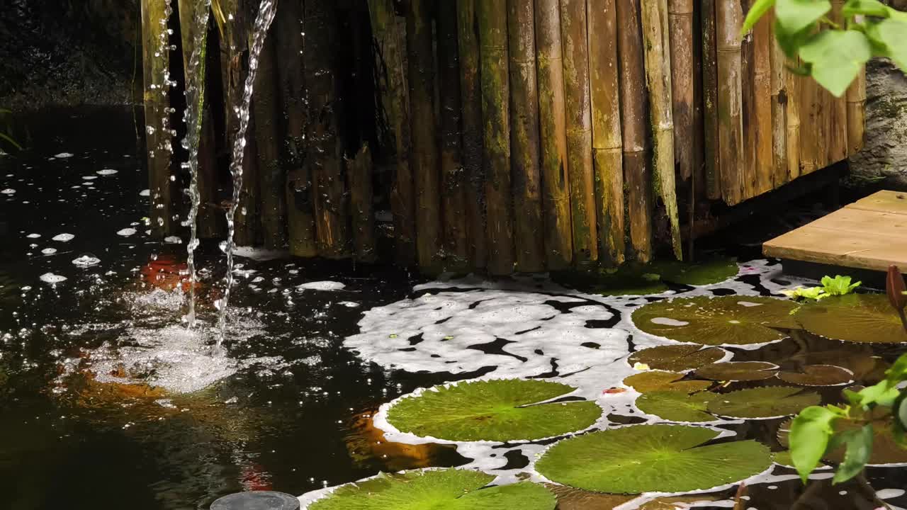 Tranquil Water Feature with Bamboo and Water Lilies