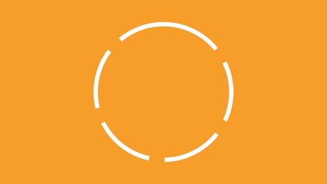 circle rotation split pop animation motion graphics