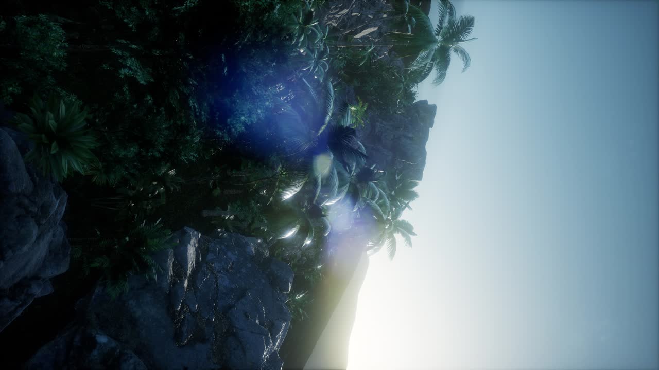 ⁇ 나무 를 가로지르는 해 가 지는 광선