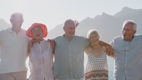 retrato de amigos mayores que visitan un punto de referencia turístico en vacaciones en grupo de pie junto a la bahía