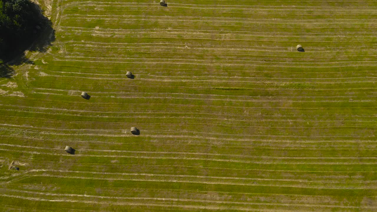 Top down aerial drone footage gliding over freshly made silage wheat hay bale rolls made to serve as animal feed on a grassy green and golden yellow farm field. The rolls create shadows in the sun