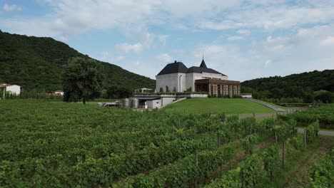 Drone-footage-of-Chateau-Buera-Winery-and-Vineyards-amid-the-lush-green-mountains-near-Lopota-Lake-in-Kakheti,-Georgia