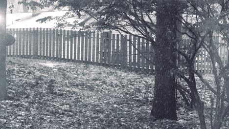 Erste-Schneeflocken-Fallen-In-Geringer-Sättigung,-Schwarz-Und-Weiß