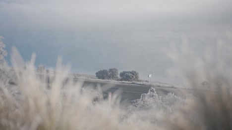 Bushes-next-to-road-in-foggy,-hoar-frost-conditions