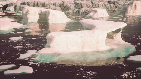 glaciers and the icebergs of antarctica