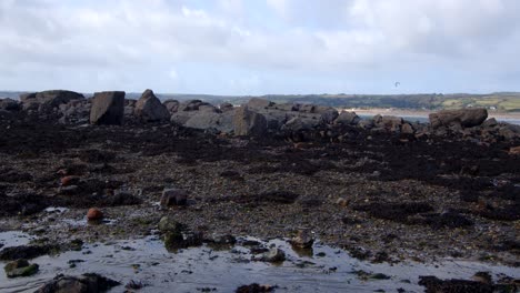 wide shot of exposed rocky reef at low tide