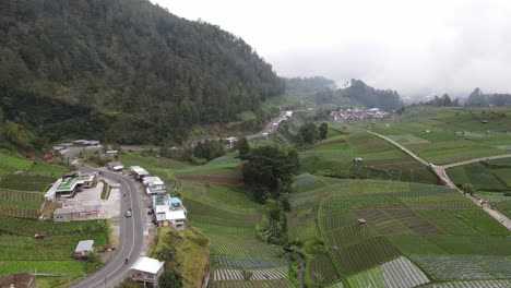 vista aérea, paisaje rural en las laderas del monte lawu, campos y caminos sinuosos ubicados en tawangmangu, indonesia
