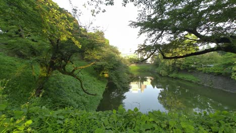 tokyo chidorigafuchi early morning 2022