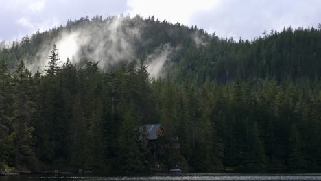 smokes from the treetops of a conifer forest near the river