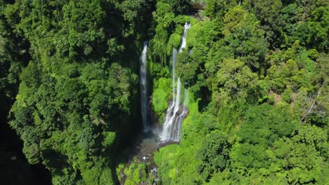 imágenes aéreas de drones en 4k: majestuosas cascadas de sekumpul y fiji, singaraja, norte de bali