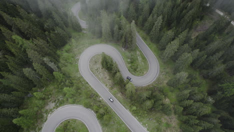 cars drive on curvy snake road through dense coniferous forest