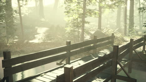 old wooden bridge over a small stream in a park