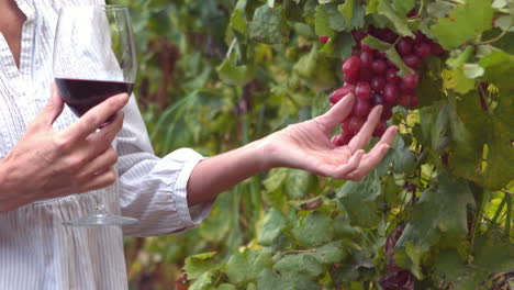 mujer examinando un ramo de uvas rojas en cámara lenta
