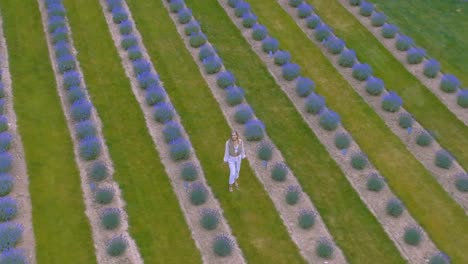 Aerial-Zoom-in-of-a-young-women-in-a-lavender-field-during-a-summer-day