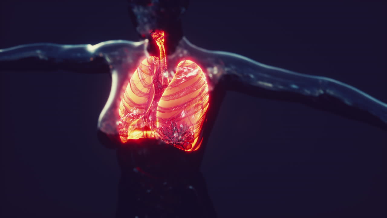 holograma de pulmones inflamados en el cuerpo humano