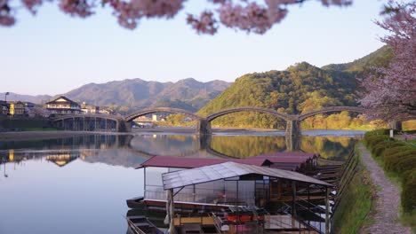 cherry blossoms in bloom over traditional japanese boats and kintaikyo bridge