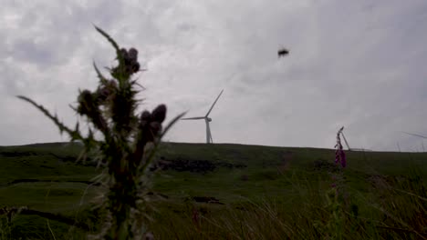 turbinas de viento en las colinas alrededor del embalse de greenbooth