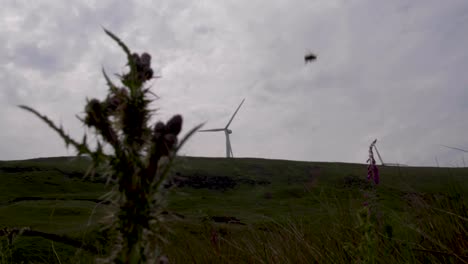 wind turbines in the hills around greenbooth reservoir