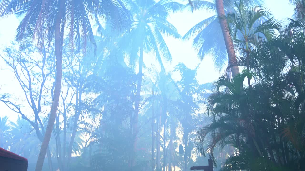 Dense white smoke billows from fumigation efforts, a crucial measure to eradicate mosquitoes and other insects, and to prevent the spread of dengue fever, a major public health concern