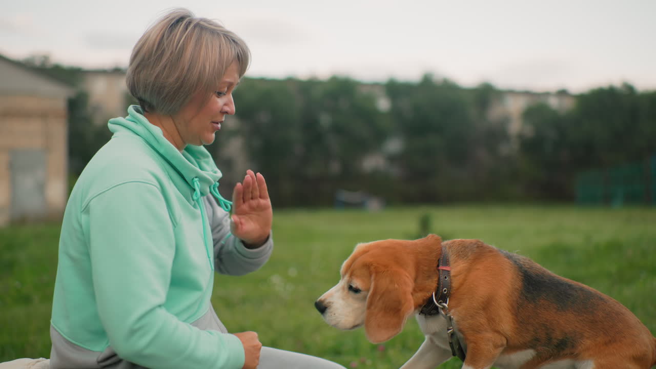 Trainer teaching her puppy to gently tap her hands as part of obedience training, reinforcing communication and bonding with positive interaction in outdoor park environment