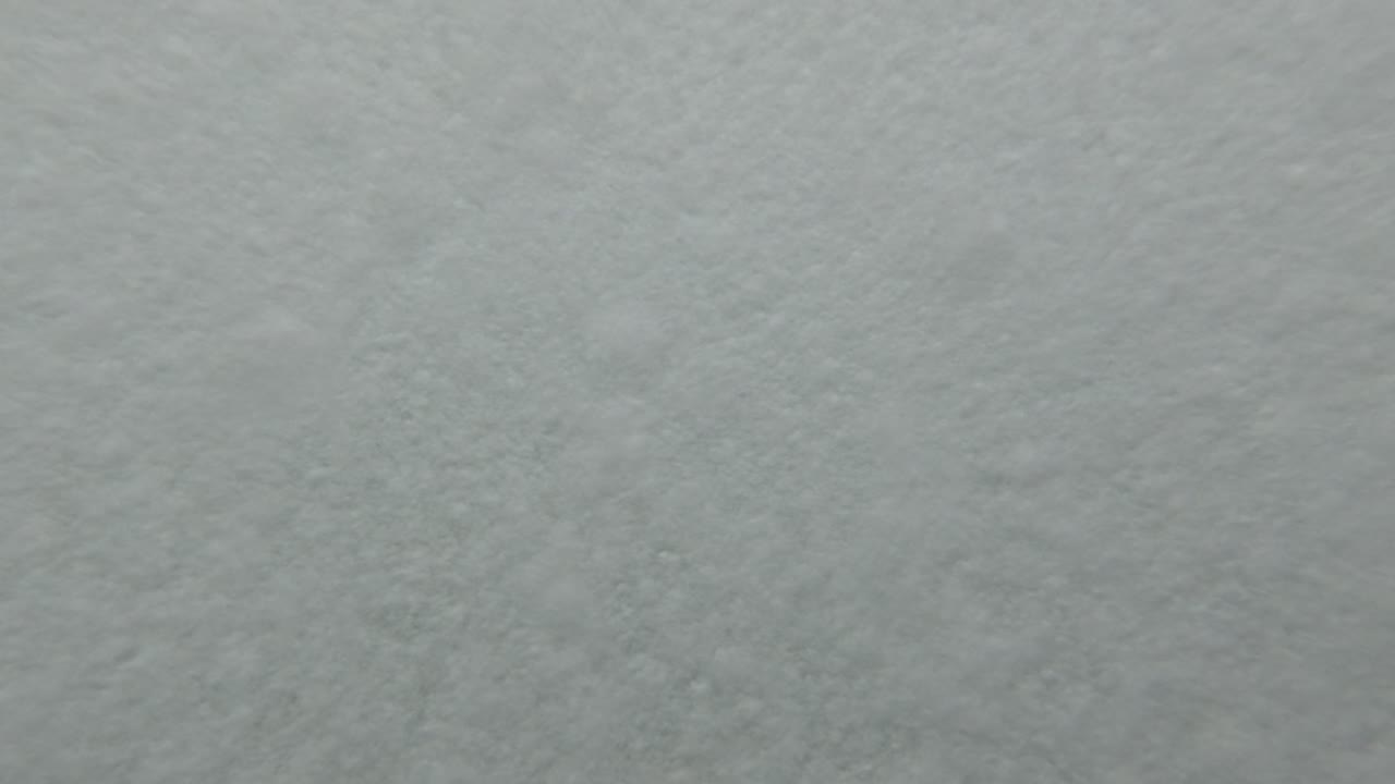 vida marina y movimiento acuático en rockpool