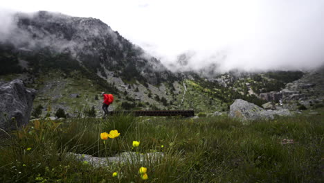 Solo-Trekking-Im-Aigüestortes-Nationalpark,-Katalanische-Pyrenäen,-Spanien,-Rucksacktourist-Mit-Roter-Jacke,-Der-Alleine-In-Den-Bergen-Spazieren-Geht,-Malerischer-Natürlicher-Hintergrund-Mit-Gelber-Blume