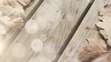 animation of light spots over leaves on wooden background