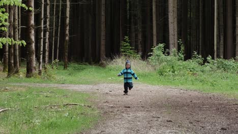 toddler running towards the camera in a bavarian forest