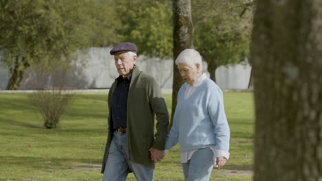 senior couple holding hands and talking while walking in park on sunny autumn day