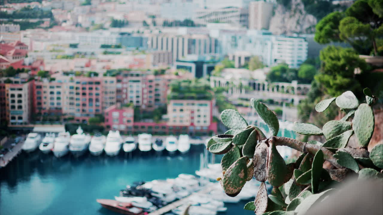 Blurry view of boats docked in the Port de Fontvieille in Monaco