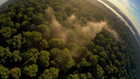 aerial view of a tropical rainforest