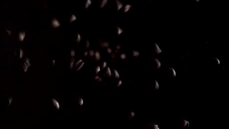 studio shot of a pile of coffee shots falling from the dark in to the light on the lens in slow motion