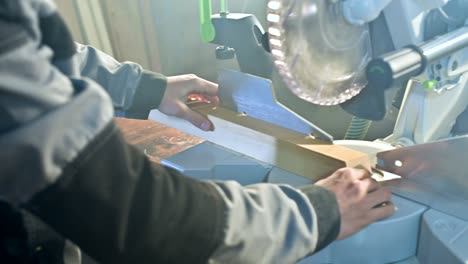 a young carpenter installs a wooden work piece in a circular sawing machine.