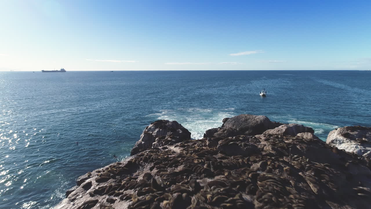 Aerial - Flight over seal island in Mossel Bay, South Africa