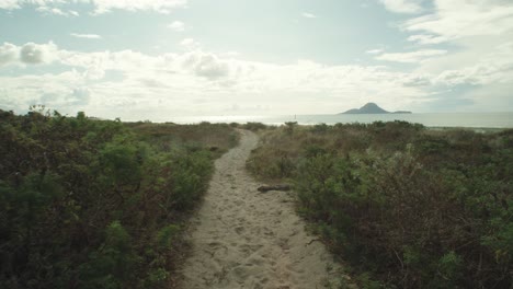 Toma-Pov-Caminando-Por-Un-Camino-De-Arena-En-La-Costa-De-Whakatane-Con-La-Isla-Moutohora-En-El-Horizonte