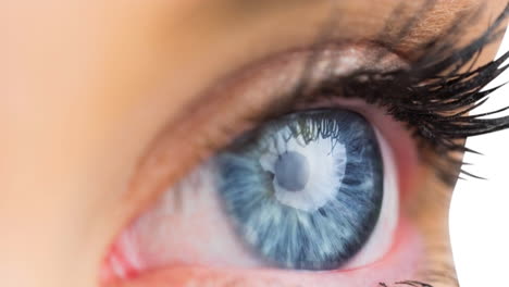 close up of female blue eye against white background