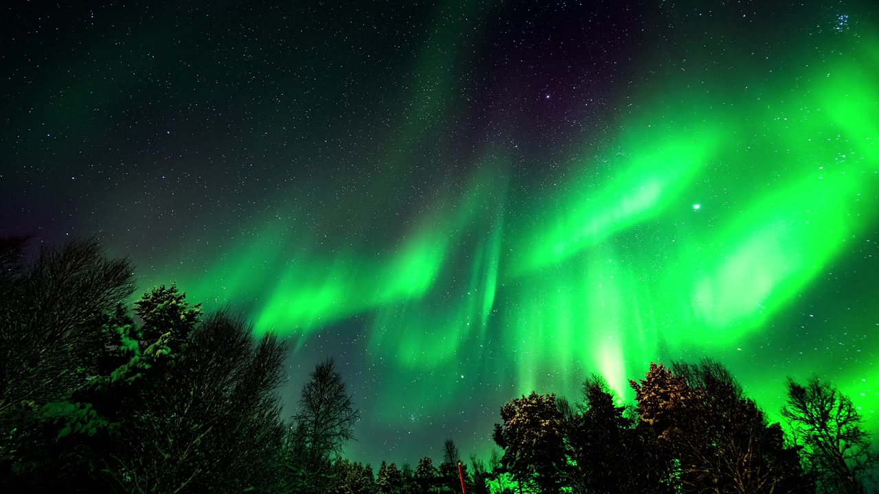 Ipnotica aurora boreale verde che danza nel cielo notturno vista sopra gli alberi, timelapse.