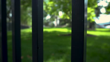 Looking through a metal fence at a lush lawn